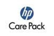 Service & support - HP eCare Pack/Instl Onsite f DAT DVD-ROM - U2090E