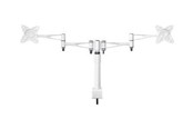 Skærmholder - Multibrackets M VESA Desktop Dual Arm Si 75x75 100xdo - 7350022733053