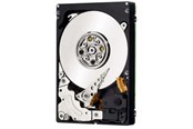 Harddisk - IBM - 300GB - Harddisk - 81Y9935 - SAS2 - 2.5" - 81Y9935