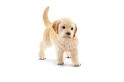 Schleich - Schleich Golden Retriever hvalp - 16396