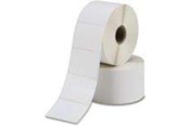 Papir, Fotopapir og Etiketter - Zebra PolyE 3100T Gloss - 3011718