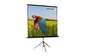 Projektorlærred - Celexon Economy tripod screen - 1090016