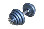 Sport & Fitness - TITAN LIFE LIFE 15 kg Adjustable Iron Dumbbell - 400-800082