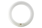 Lyskilder - Philips Fluorescerende pære Master TL-E Cirkelformet 40W/830 G10q *DEMO* - 928027483070