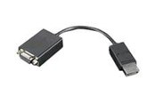 FireWire / ThunderBolt kabel - Lenovo DisplayPort cable - 20 cm - 45J9524