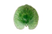 Borddækning - Costa Nova Riviera Tallerken 18 cm - 22704