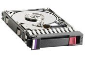 Harddisk - HP E - 72GB - Harddisk - 447447-001 - SAS - 2.5" - 447447-001