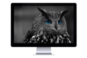 Systemtilbehør (kølepasta mv.) - Natec OWL - NFP-1478