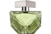 Parfume og dufte - Britney Spears Believe EDP - 100ml - 719346117722