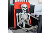 Gadget - Mikamax Skelet – Realistisk – 170 cm – Halloween Dekoration - 04184