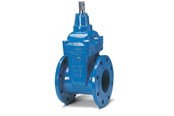 Vandforsyningsprodukter - Avk Skydeventil avk 65 mm med flanger - 06065308146499