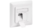 Netværkskabel - Pro CAT 6a wall plate flush mounting white - 2x RJ45 - Hvid - 4040849687211