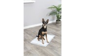 Hunde - Jolly Paw Hygiejneunderlag til hvalpe Puppy Pads 40x60cm (7-pak) - JP26000
