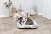 Kanin & gnaver - Trixie Hyggeseng Sunny til Små Dyr Kaniner - TX62803