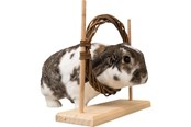Kanin & gnaver - Trixie Smådyrs Agility Sæt med Ring & Forhindring til Rotter Dværgkaniner 28x26x11cm - TX61910