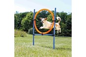 Hunde - Trixie Fun Agility Ring – Justerbar træningsring til hunde - TX3208
