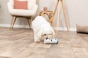 Hunde - Trixie Hundeaktivitetslegetøj Snack-Rulle - TX32020