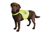Hunde - Trixie Dog Safety Vest Reflective M Length 32cm Stomach Circum 50-68cm - TX30082