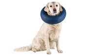 Hunde - Trixie Protective Collar Inflatable M 40-45cm - TX19546