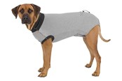 Hunde - Trixie Beskyttende restitutionsbody til hunde Størrelse: L Ryglængde: 55cm - TX19537