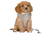 Hunde - Trixie Junior Puppy Blød Sele med Line Størrelse S-M Maveomkreds 26-34cm - TX15560