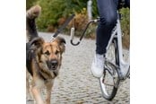 Hunde - Trixie Biker-Sæt til Sikker Hundecykling U-formet Størrelse M-XL - TX12860