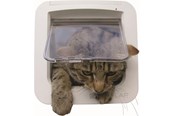 Katte - Sureflap Microchip Kattelem - *DEMO* - K39000