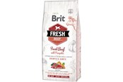 Hunde - Brit Fresh Beef with Pumpkin Puppy Large 12 kg - BH281200