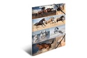 Mapper og Clipboards - HERMA Elasticated folder A3 cardboard horses - 19217