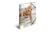 Mapper og Clipboards - HERMA Elasticated folder glossy animals A4 PP cats - 19328