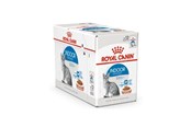 Katte - Royal Canin Indoor Sterilised in Gravy Sauce 85 g (12-Pack) - 9003579013793