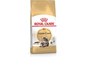 Katte - Royal Canin Maine Coon Adult 4kg - 3182550710657