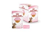 Katte - Royal Canin Kitten Sterilised Jelly 12 × 85 g - 9003579007167