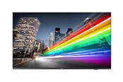 Digital skiltning & Hotel - Philips 55BFL2214 B-Line Professional Series - 55" LED-backlit LCD TV - 4K - for digital signage - 55BFL2214/12