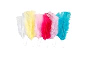 Kreativitet & Hobbyartikler - Creativ Company Feathers in Various Colors 11-17cm 18pcs. - 518490