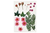 Kreativitet & Hobbyartikler - Creativ Company Dried Flowers and Leaves Light Red 19 pcs. - 504471