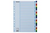 Lommer, Omslag & Registre - Esselte Faneblad PP A4 20-delt flerfarve - 10K217C