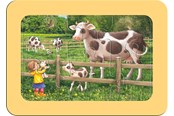 Puslespil - Ravensburger Exploring The Farm 3x6p - 05679
