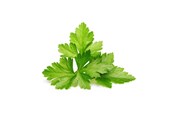 Smart Home - Click & Grow Smart Garden Refill 3-pack - Cilantro/Coriander - SGR45X3