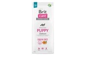 Hunde - Brit Care Dog Grain-free Puppy Salmon 12 kg - BH3401200