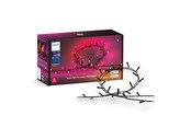 Smart Home - Philips Hue Festavia udendørs lyskæder (250 LED'er) — White and color ambiance - 929003674402