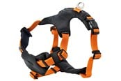 Hunde - Dogman Sportsele Emmi orange XL - 213707
