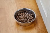 Hunde - Dogman Heavy Madskål i Rustfrit Stål Metal 450ml - 369627