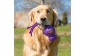Hunde - KONG Hundelegetøj Wubba Assorted Colors Large 32cm - 340461