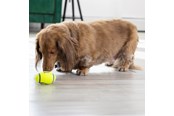 Hunde - KONG Hundelegetøj AirDog Squeaker Football Small 8cm - 340528