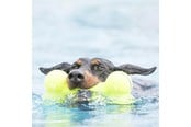 Hunde - KONG Hundelegetøj AirDog Squeaker Bone 11cm - 340912