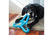 Hunde - KONG Dog Toy Flyangle Assorted Colors Large - 341015
