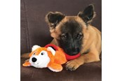Hunde - KONG Dog Toy Cozie Pocketz Beaver Medium 33cm - 341128