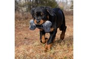 Hunde - KONG Dog Toy Maxx Bone Small/Medium 28cm - 341189
