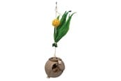 Fuglelegetøj - Trixie Coconut on sisal rope 35 cm - TX58920